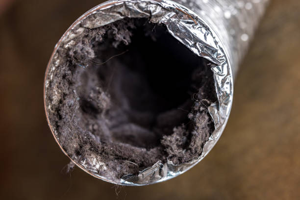 Best HVAC System Cleaning  in Baxley, GA