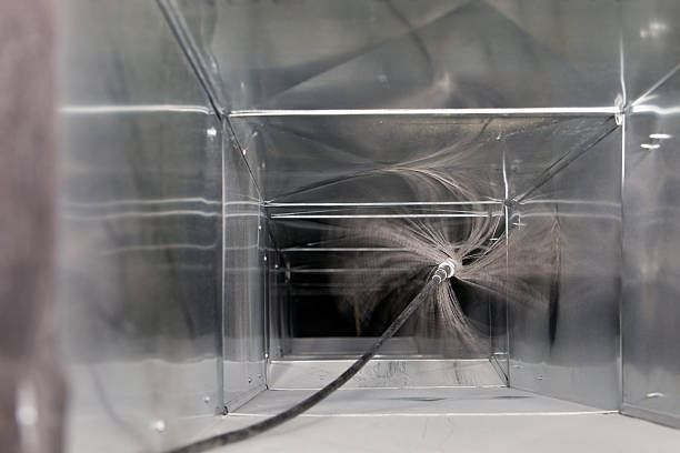 Best Air Duct Mold Removal  in Baxley, GA